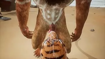 play Lion cums on tiger's face - wildlife