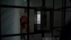تشغيل سر تم تصويره: هزات الجماع المتعددة المخفية لـ Step-Mom الحقيقية